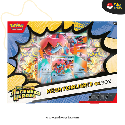 POKÉMON: ASCENDED HEROES - MEGA FERALIGATR EX BOX (EN)